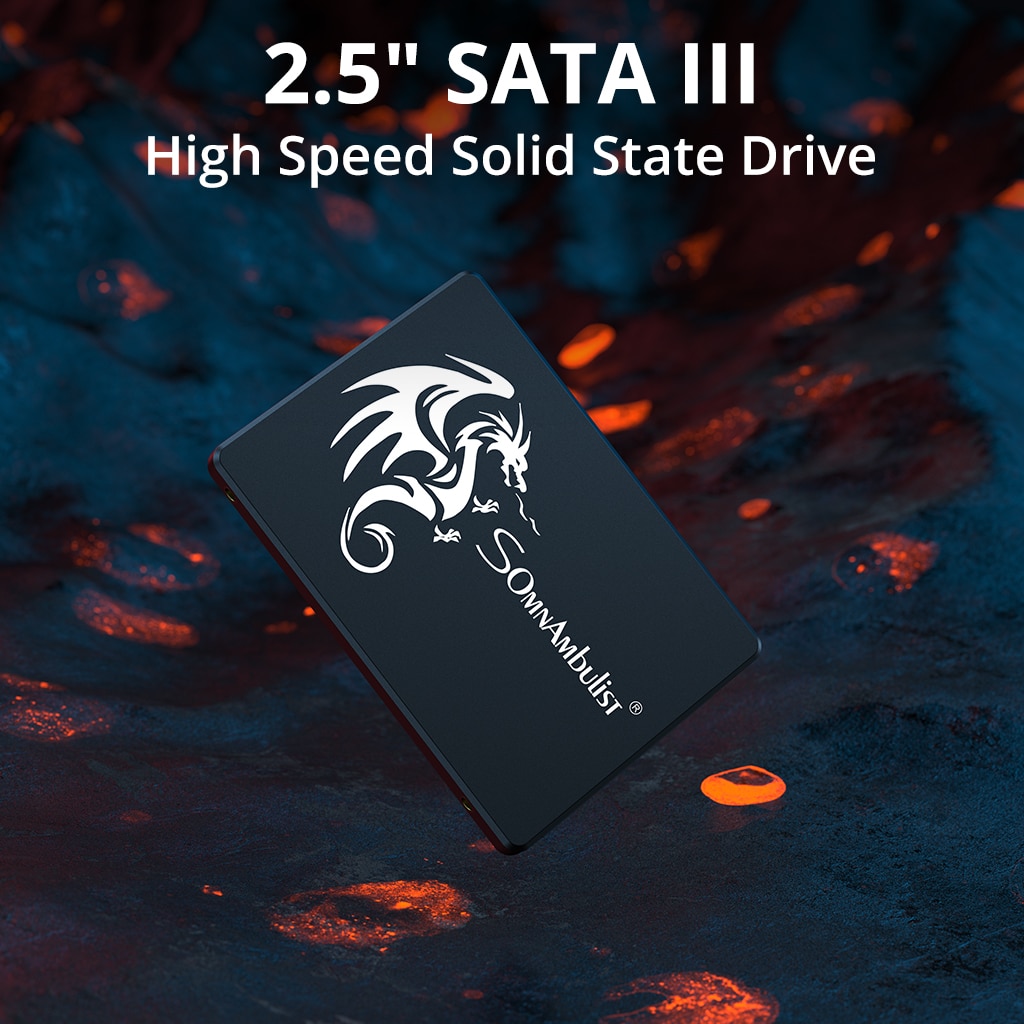SomnAmbulist SSD 120GB 240GB 4 - Ssd 500Gb 评论和价格